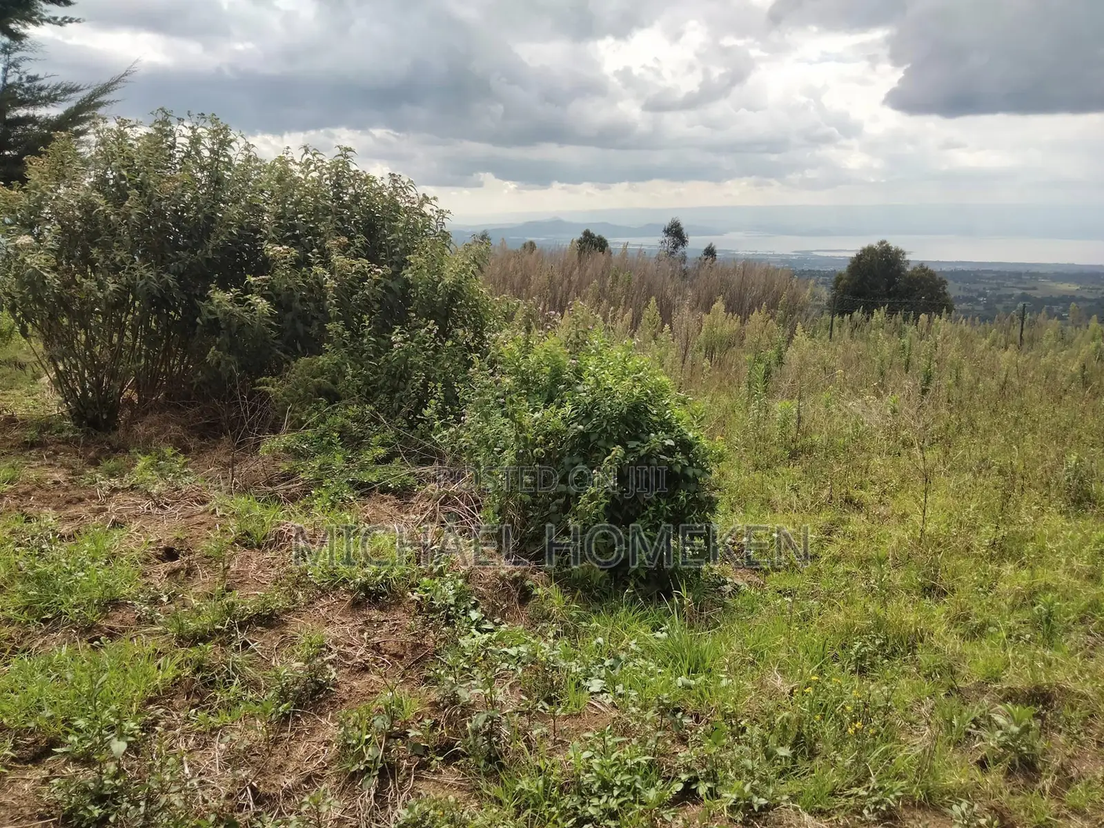 Quarter Acre for Sale in Nyandarua