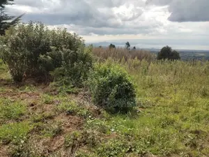 Quarter Acre for Sale in Nyandarua