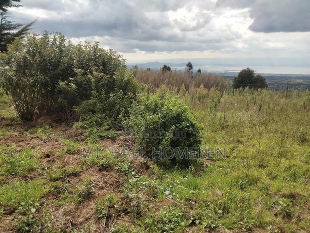 Quarter Acre for Sale in Nyandarua - thumbnail 3