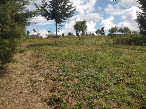 Quarter Acre for Sale in Nyandarua - thumbnail 4