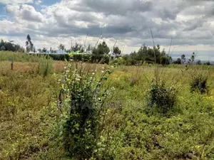 Quarter Acre for Sale in Nyandarua