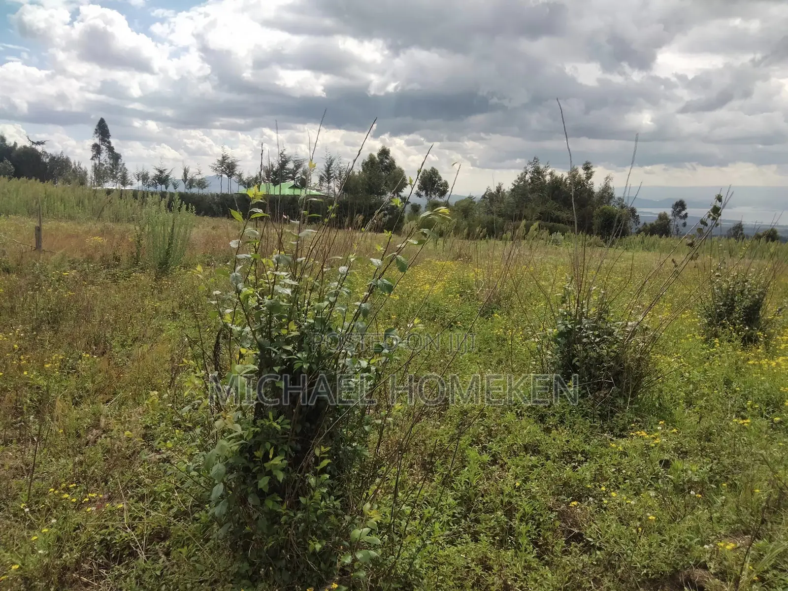 Quarter Acre for Sale in Nyandarua