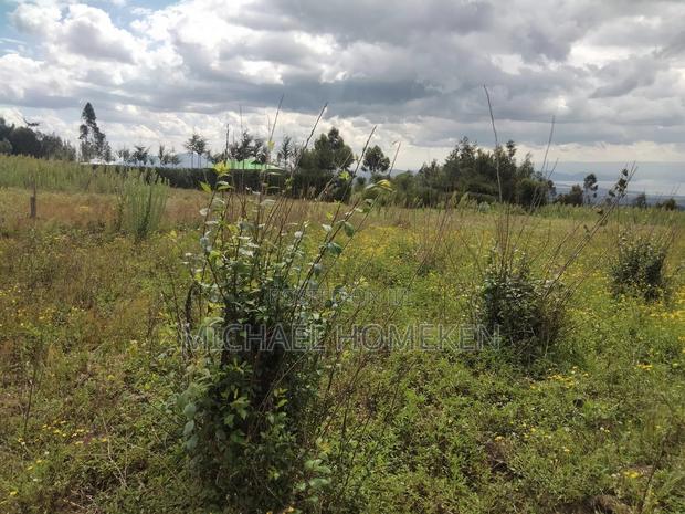 Quarter Acre for Sale in Nyandarua - thumbnail 6