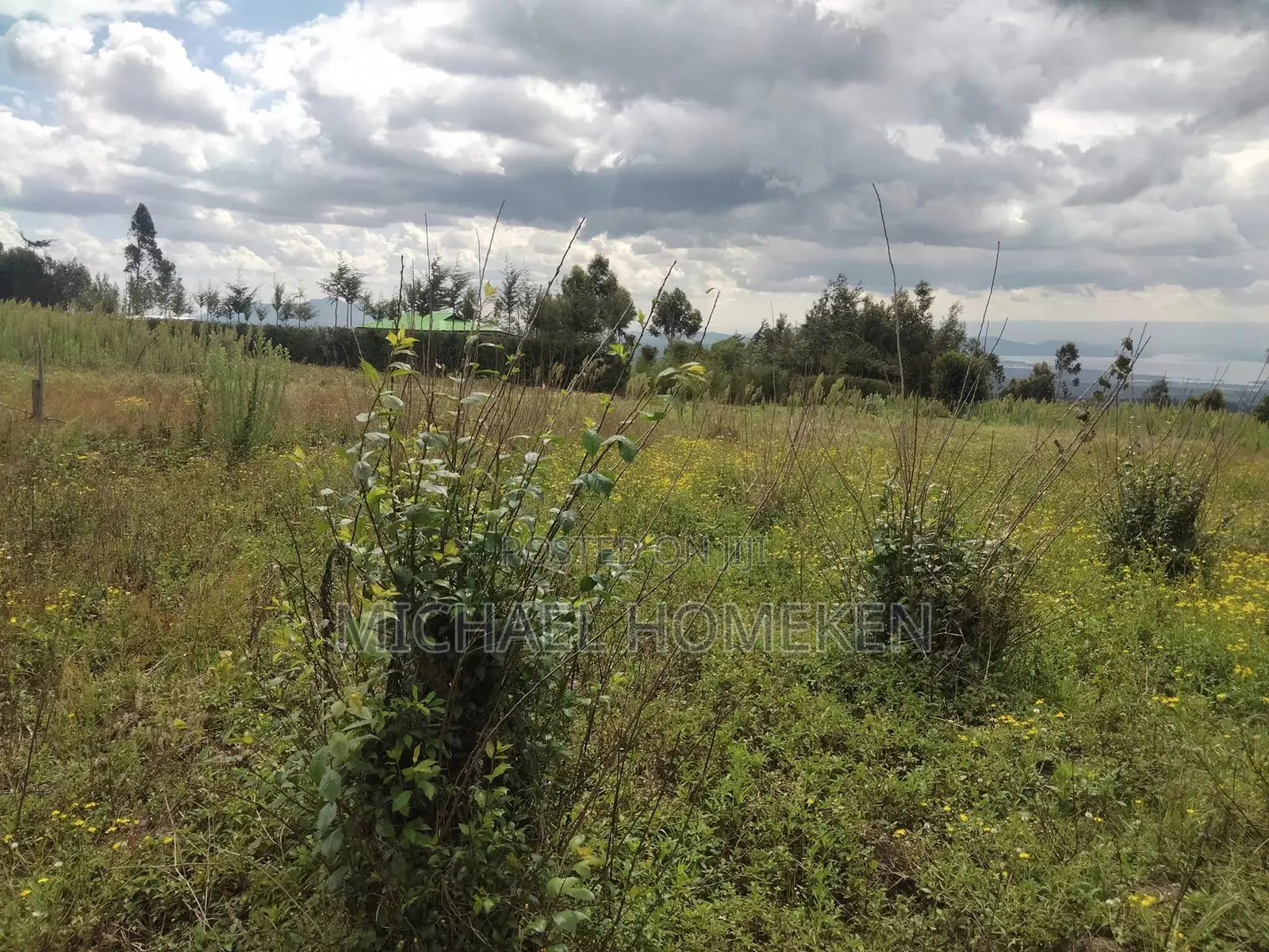 Quarter Acre for Sale in Nyandarua