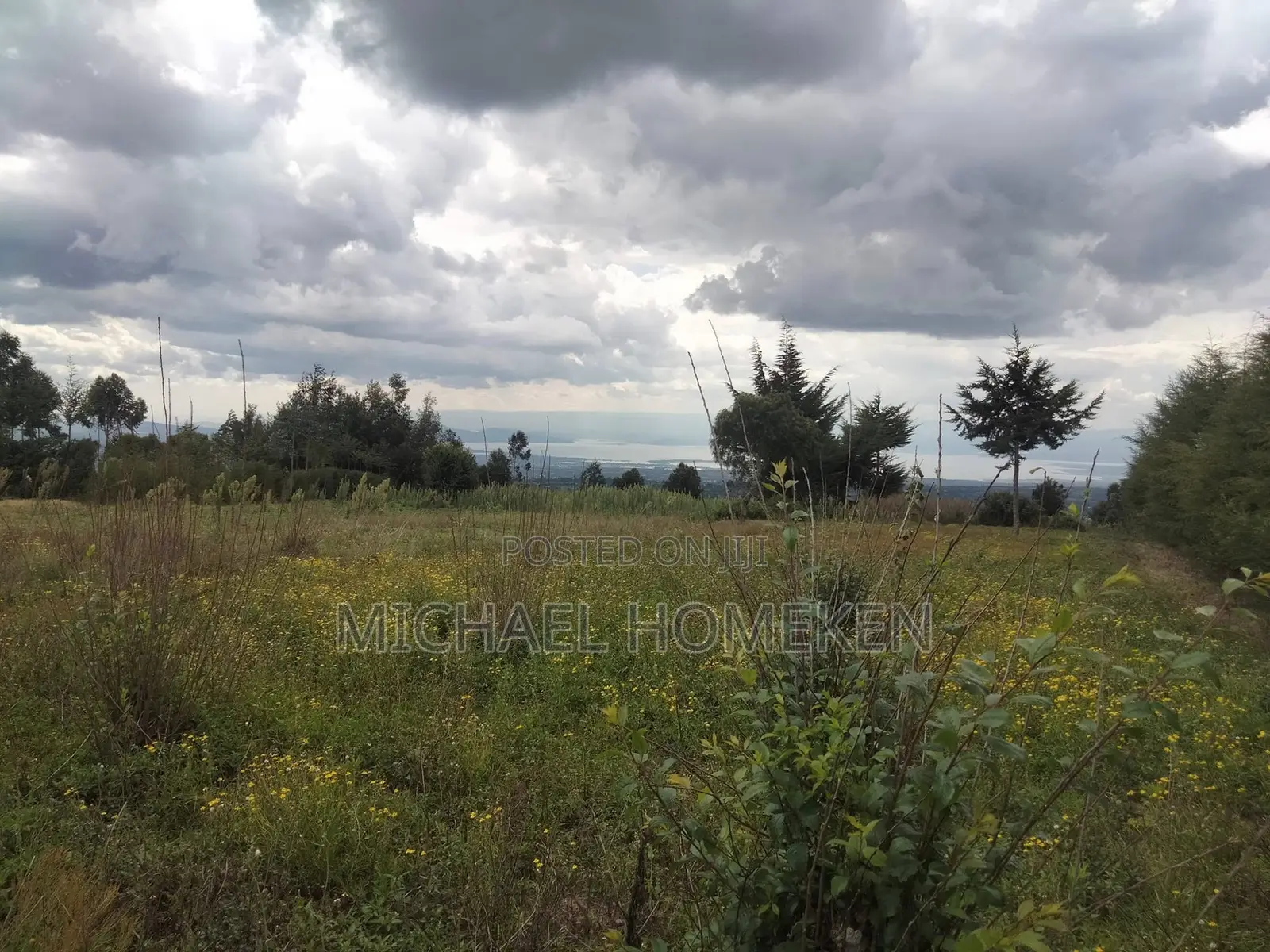 Quarter Acre for Sale in Nyandarua