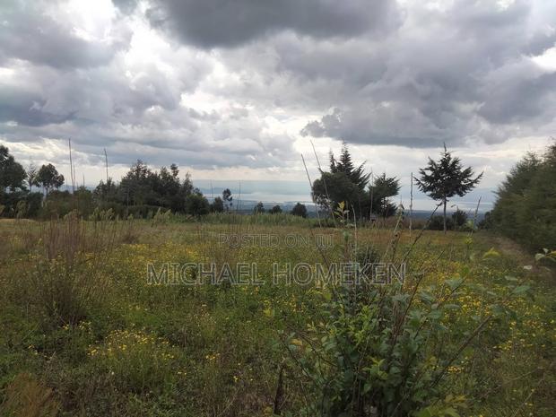 Quarter Acre for Sale in Nyandarua - thumbnail 8
