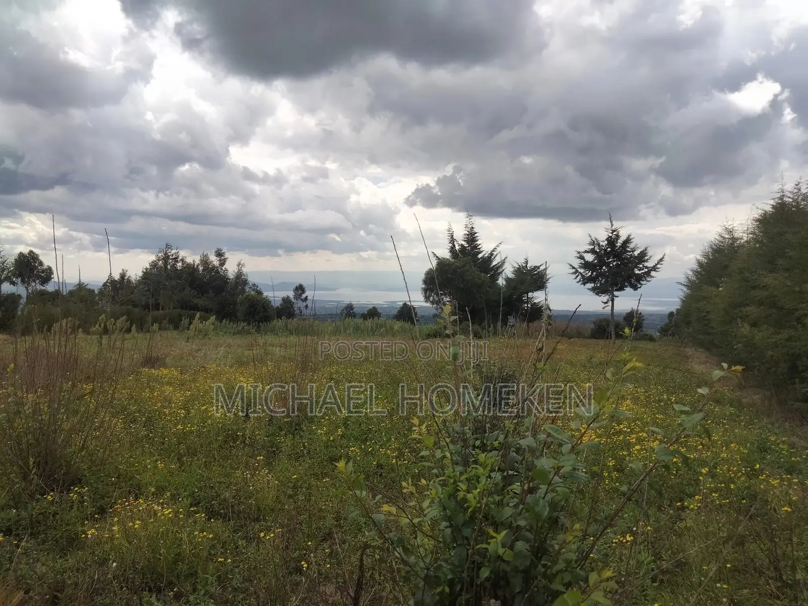 Quarter Acre for Sale in Nyandarua
