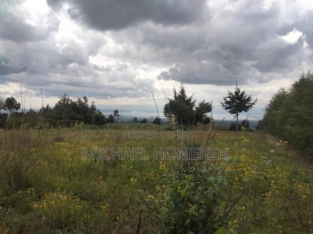 Quarter Acre for Sale in Nyandarua - thumbnail 9