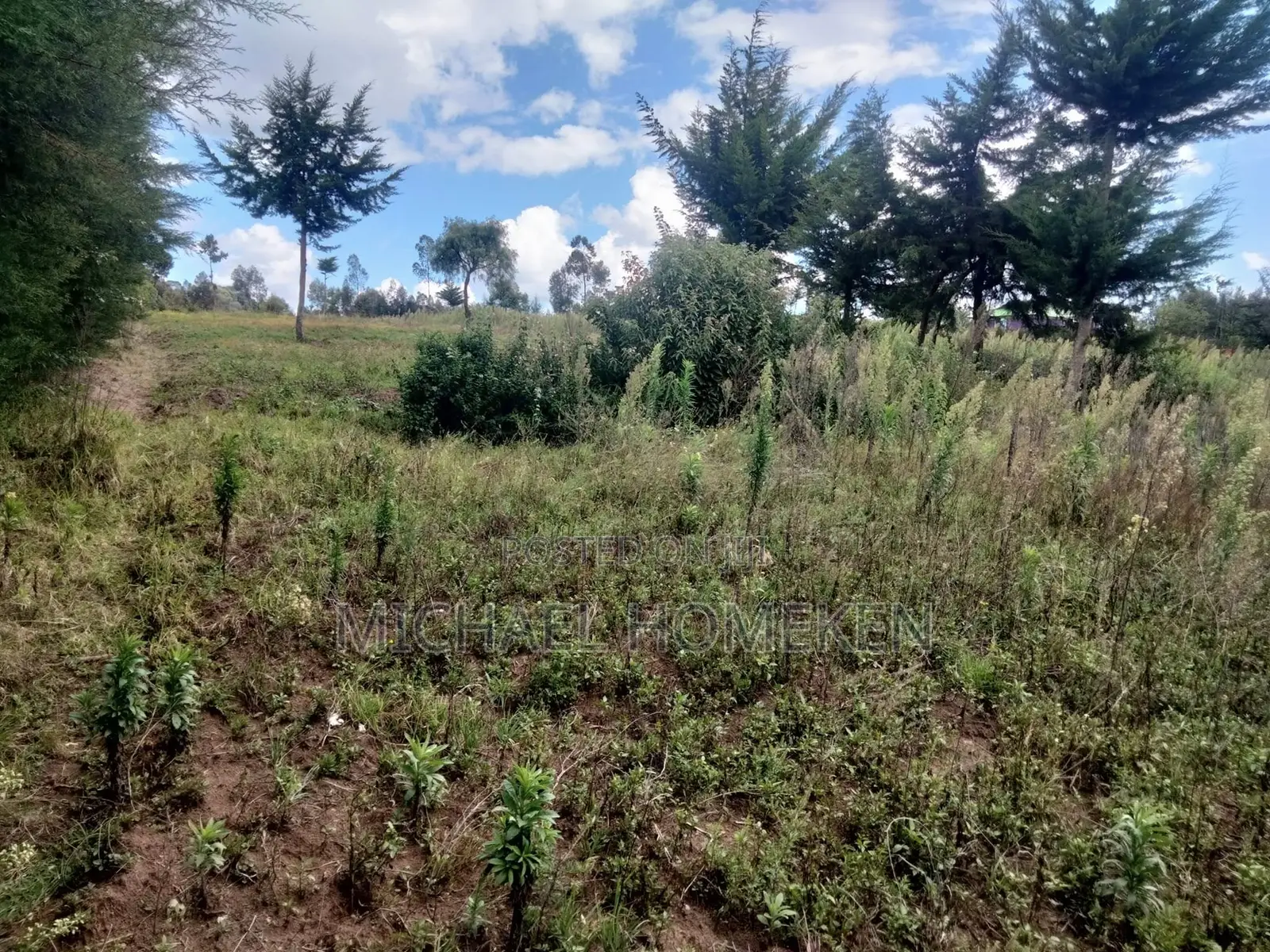 Quarter Acre for Sale in Nyandarua