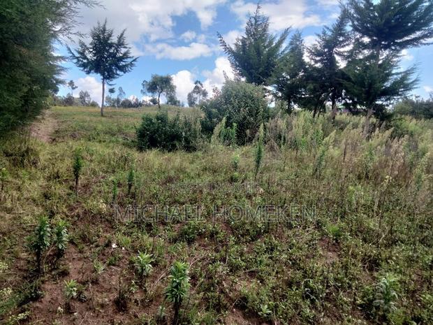 Quarter Acre for Sale in Nyandarua - thumbnail 10