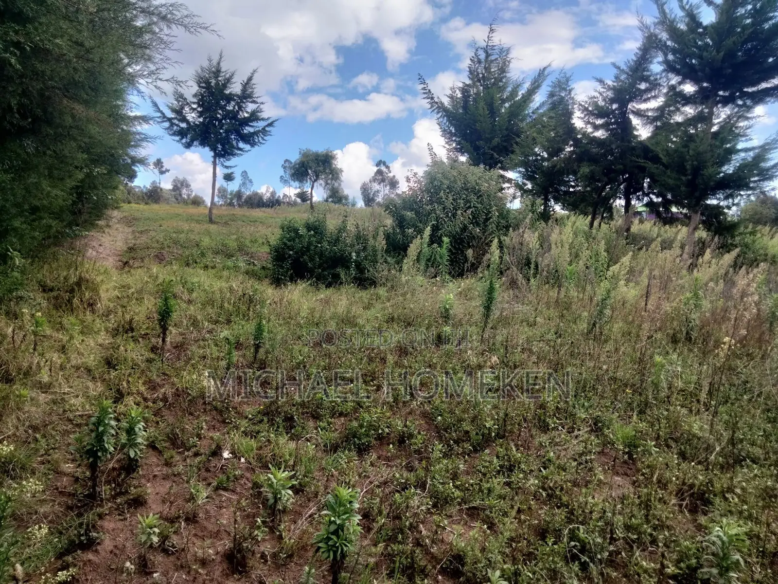 Quarter Acre for Sale in Nyandarua