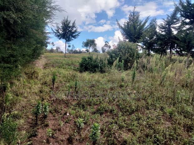 Quarter Acre for Sale in Nyandarua - thumbnail 12