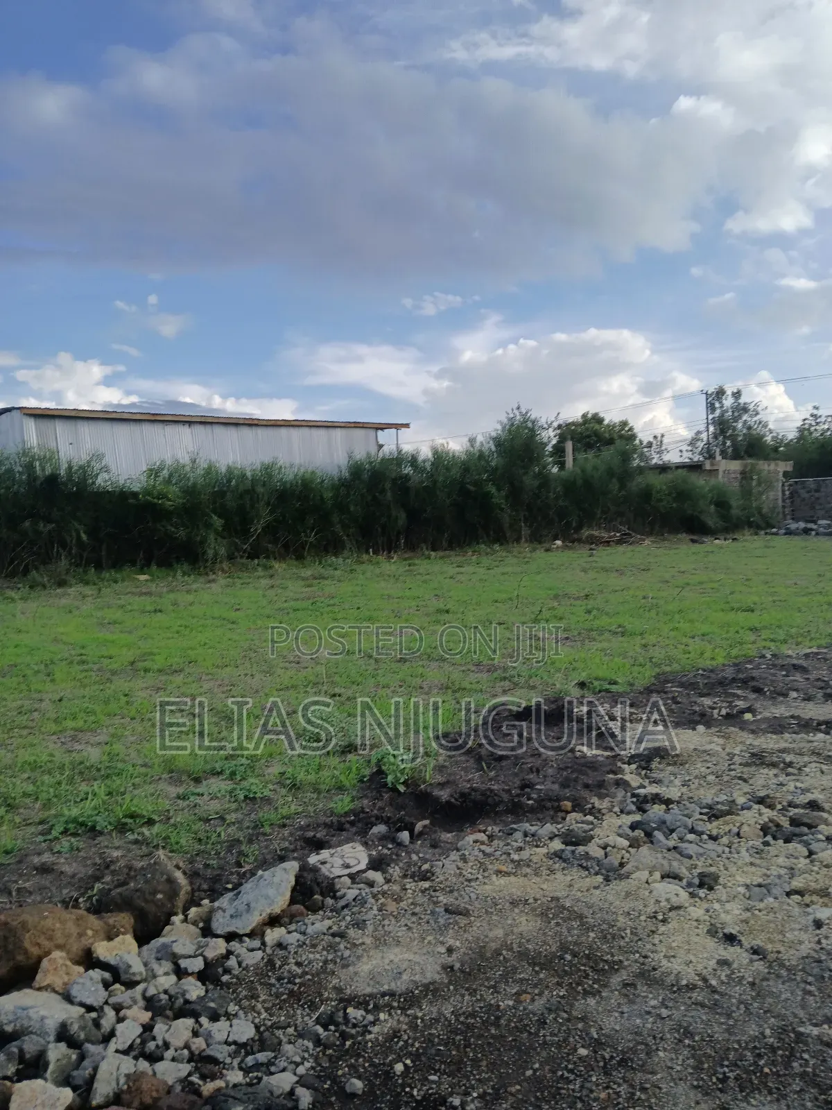 Kahawa Sukari C(Kamakis) 50"×80" Title at 4.6M Negotiable