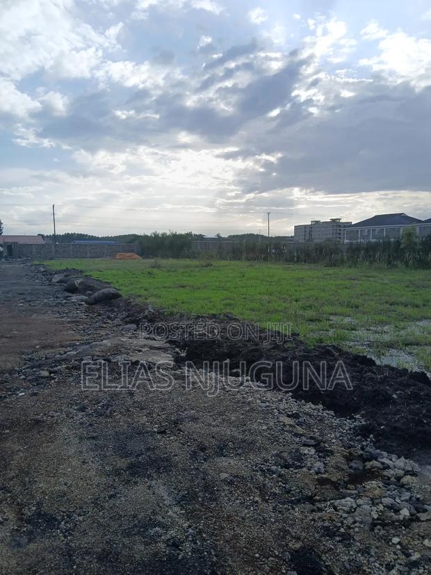 Kahawa Sukari C(Kamakis) 50"×80" Title at 4.6M Negotiable - thumbnail 14