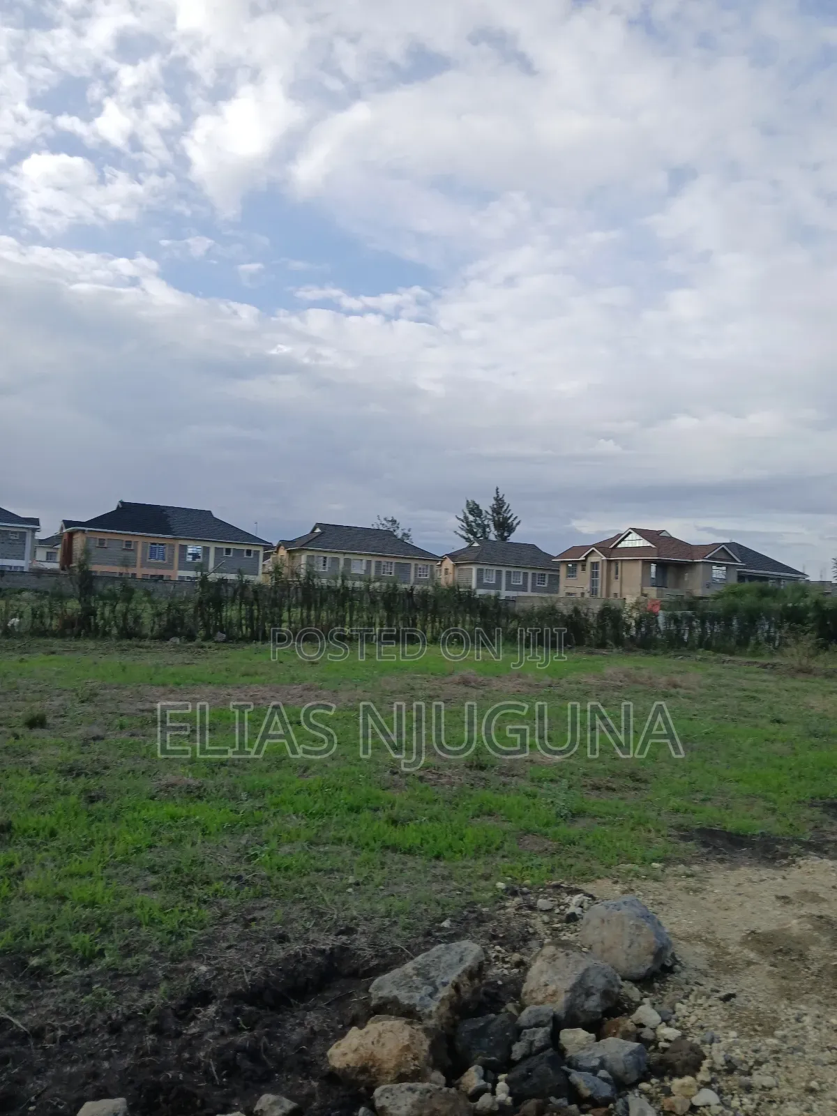 Kahawa Sukari C(Kamakis) 50"×80" Title at 4.6M Negotiable