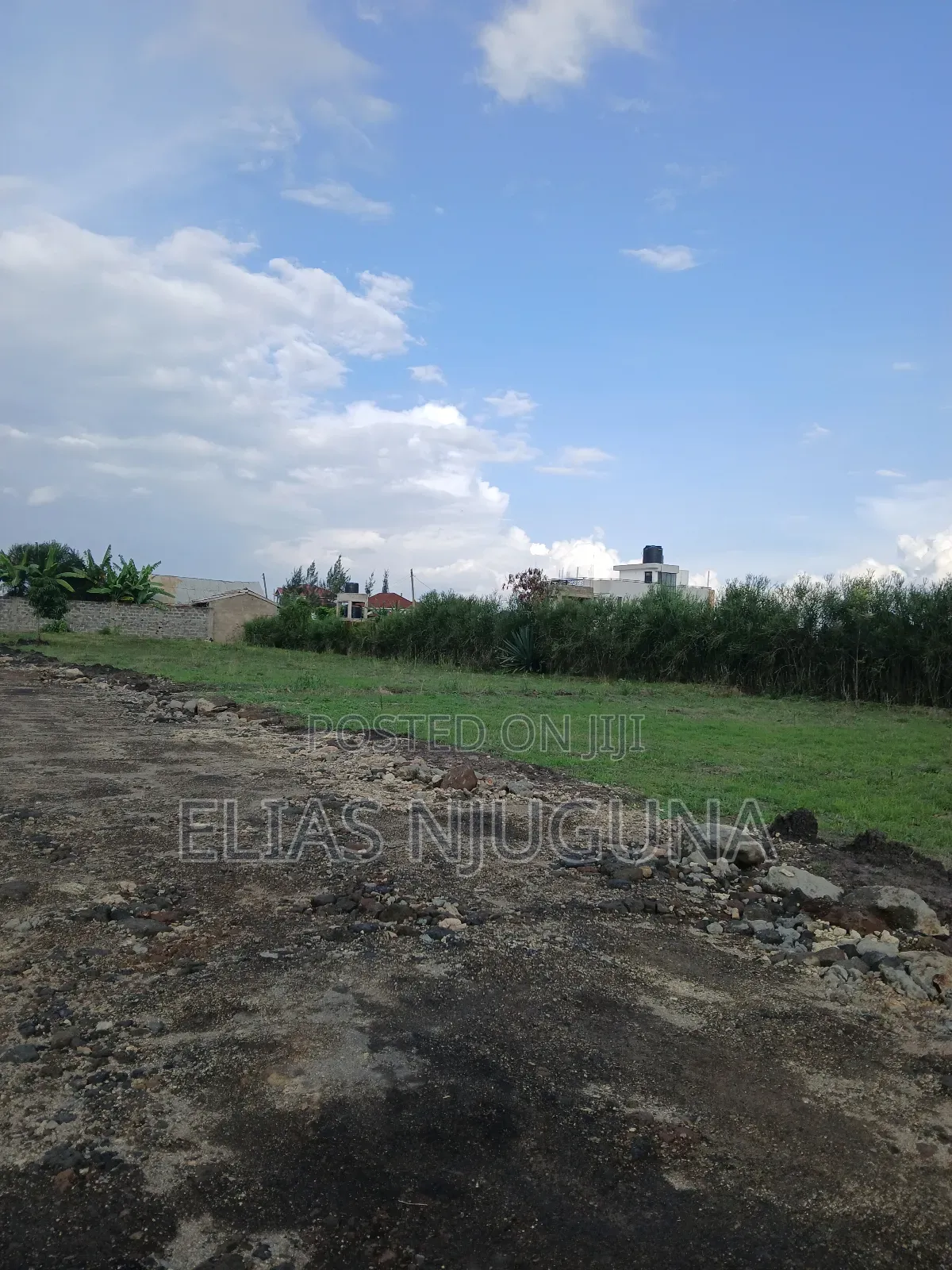Kahawa Sukari C(Kamakis) 50"×80" Title at 4.6M Negotiable