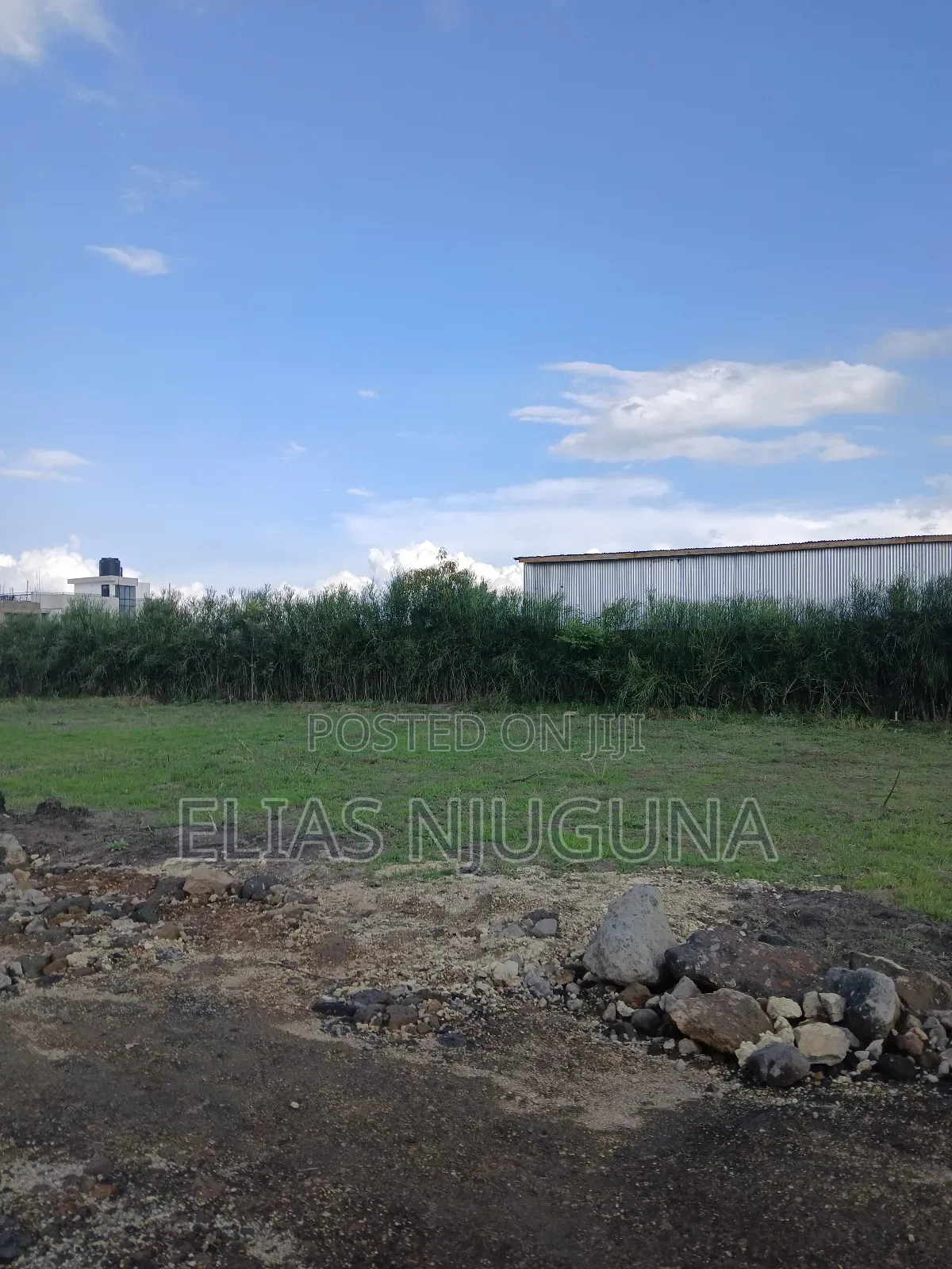 Kahawa Sukari C(Kamakis) 50"×80" Title at 4.6M Negotiable