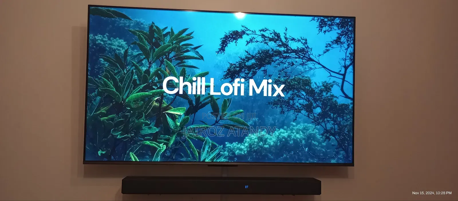 TV Mounting and Installation