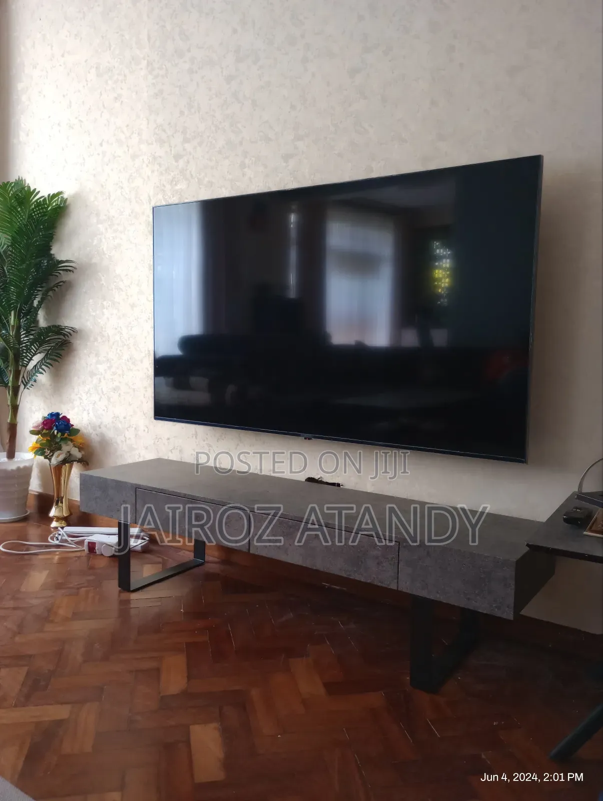 TV Mounting and Installation