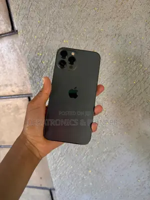 Apple iPhone 13 Pro Max 256 GB Gray