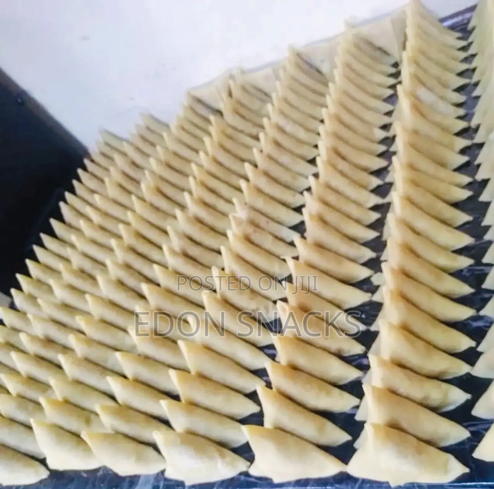 Precooked Samosa