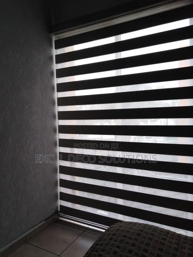 Zebra Roller Shades for Home and Office