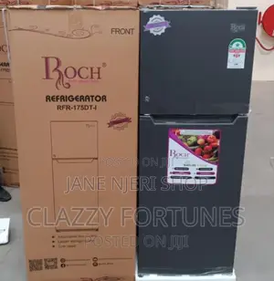 128 Litres Roch Double Door