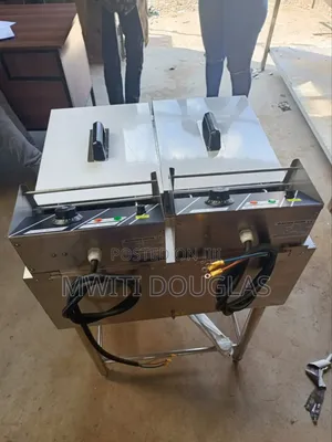 Pleasured Imported Double Chips Fryer