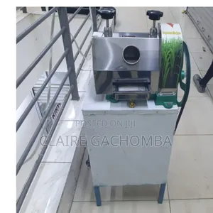 Commercial Heavy Duty Sugarcane Juicer