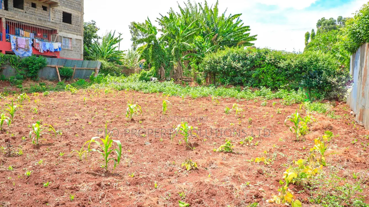 Prime 1/8 Acre Commercial Plot for Sale in Kikuyu, Kinoo