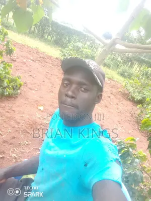 Applying Job