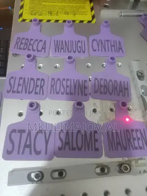 Personalized Ear Tags Offer