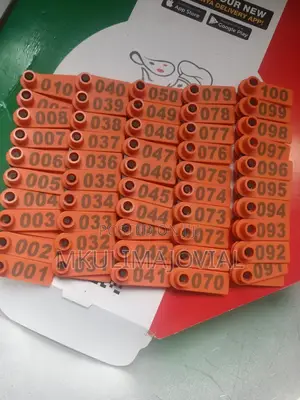 Slim Numbered (Brand New) Tags New