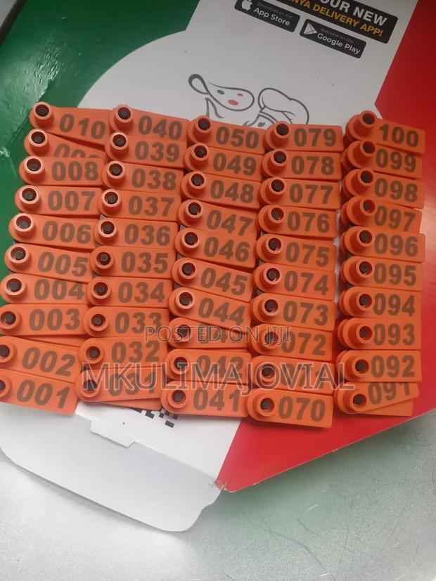 Slim Numbered (Brand New) Tags New