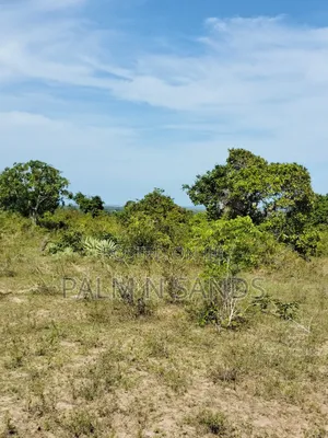 2.7 Acre Ocean View Land for Sale