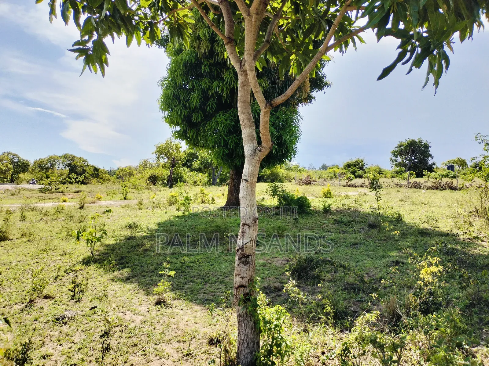 2.7 Acre Ocean View Land for Sale