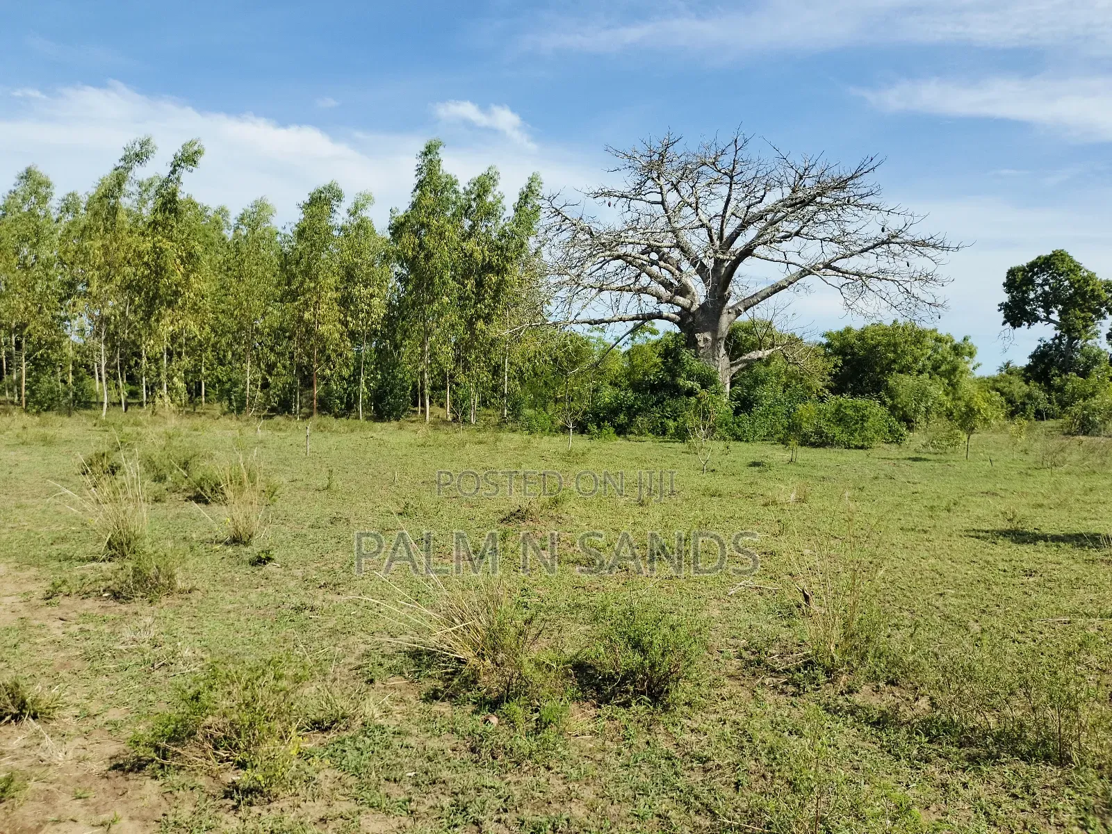 2.7 Acre Ocean View Land for Sale