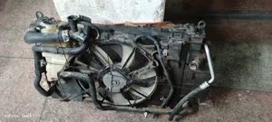 Clean Ex Japan 161 High Bled Radiator Available