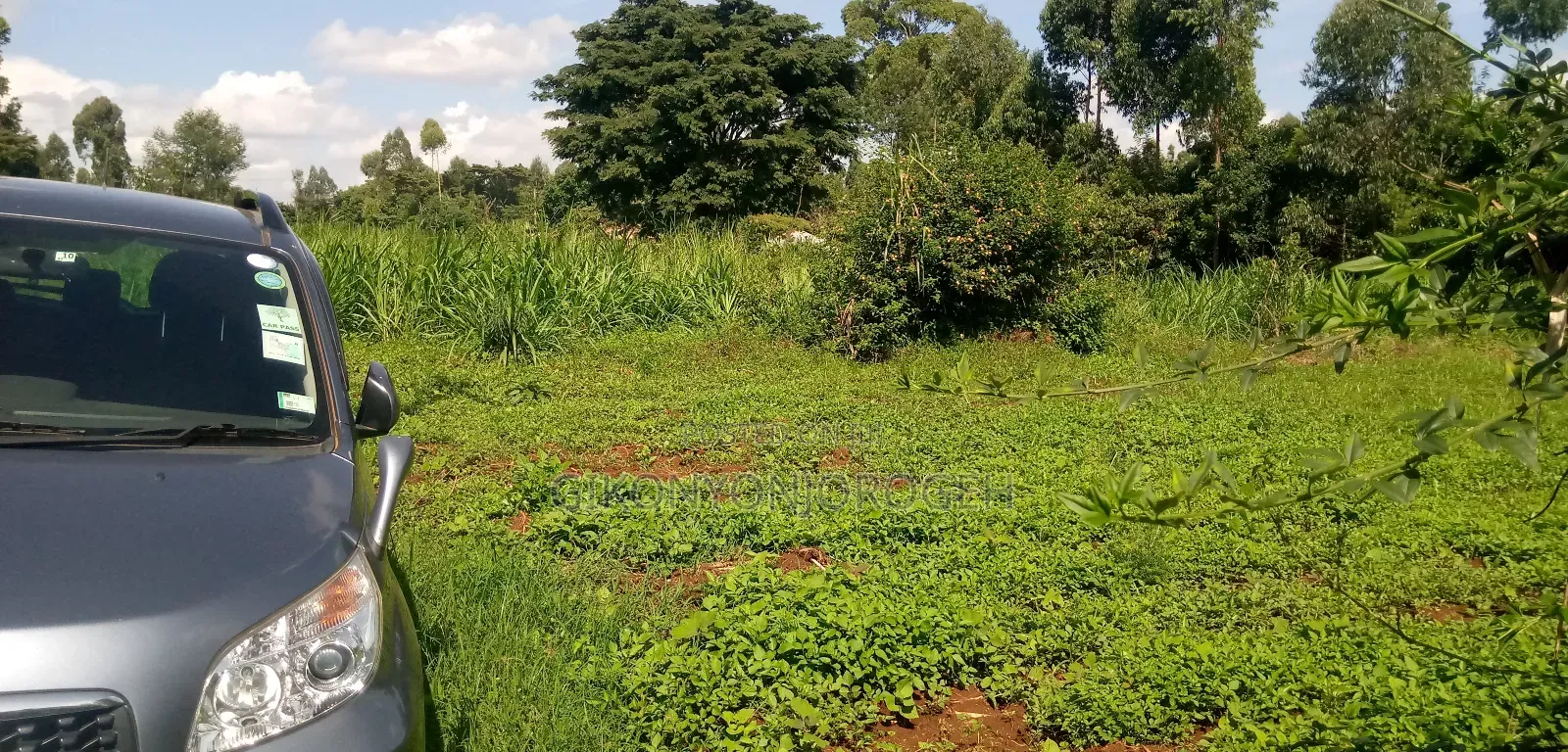 Lifetime Offer Land in Waguthu Kanunga Area (Owner Direct Sale)