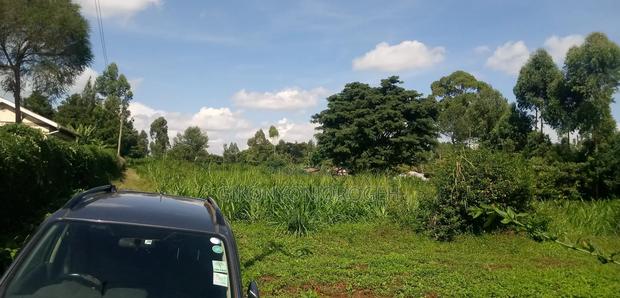 Land for Sale in Waguthu Kanunga Area (Owner Direct Sale) - thumbnail 4