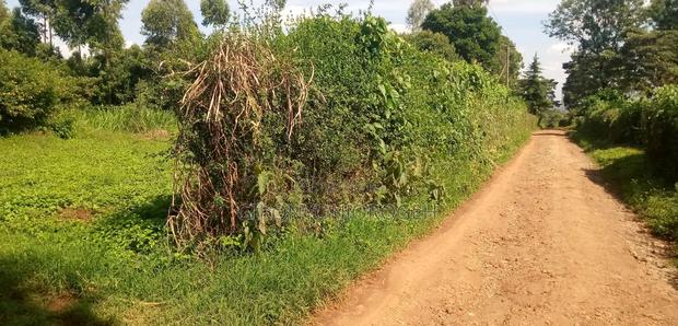 Land for Sale in Waguthu Kanunga Area (Owner Direct Sale) - thumbnail 5