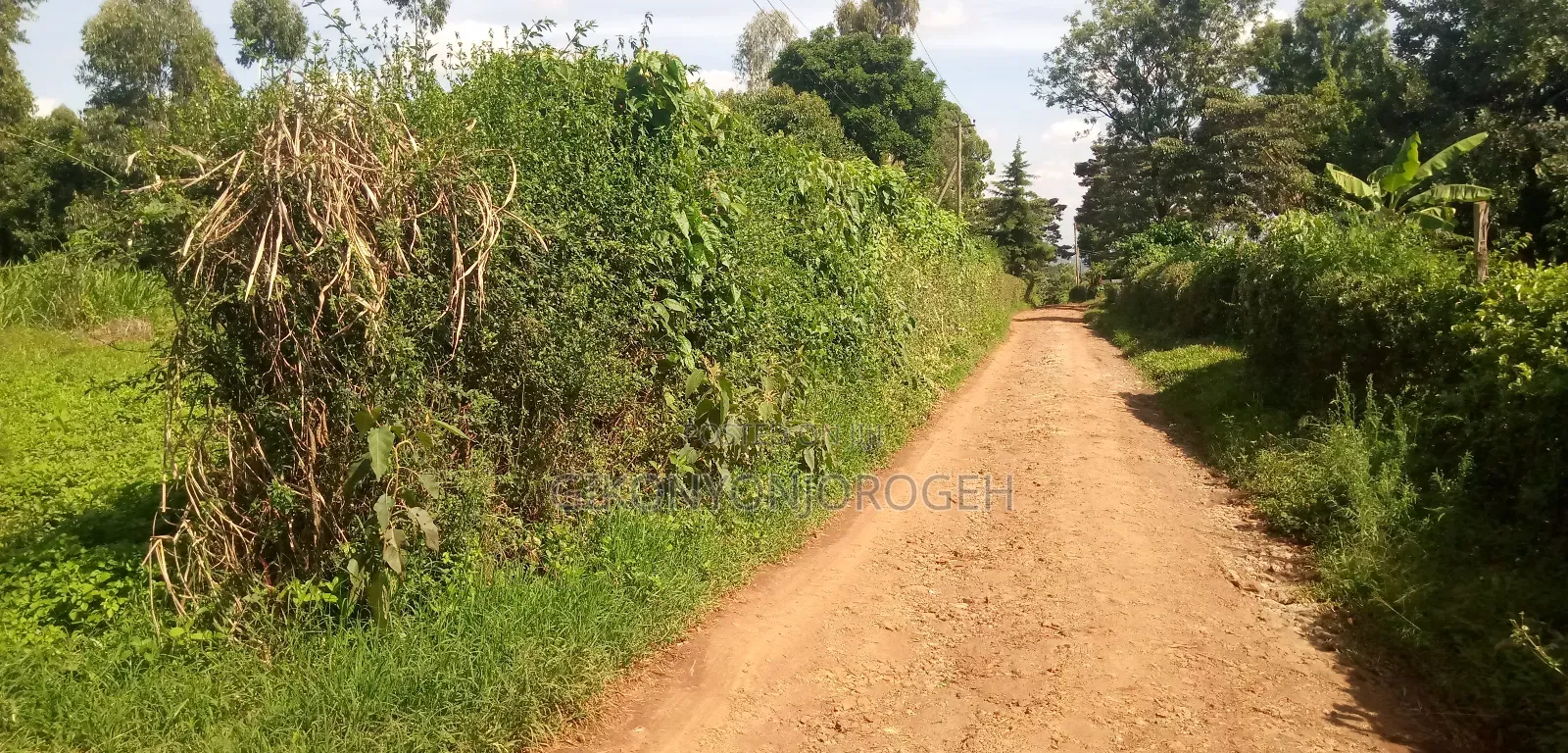 Lifetime Offer Land in Waguthu Kanunga Area (Owner Direct Sale)