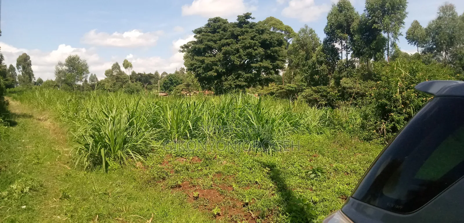 Lifetime Offer Land in Waguthu Kanunga Area (Owner Direct Sale)