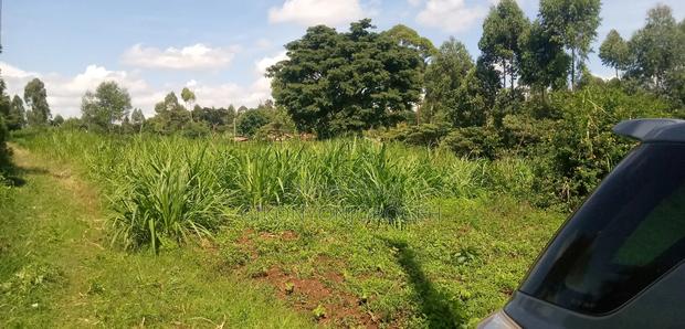 Land for Sale in Waguthu Kanunga Area (Owner Direct Sale) - thumbnail 7