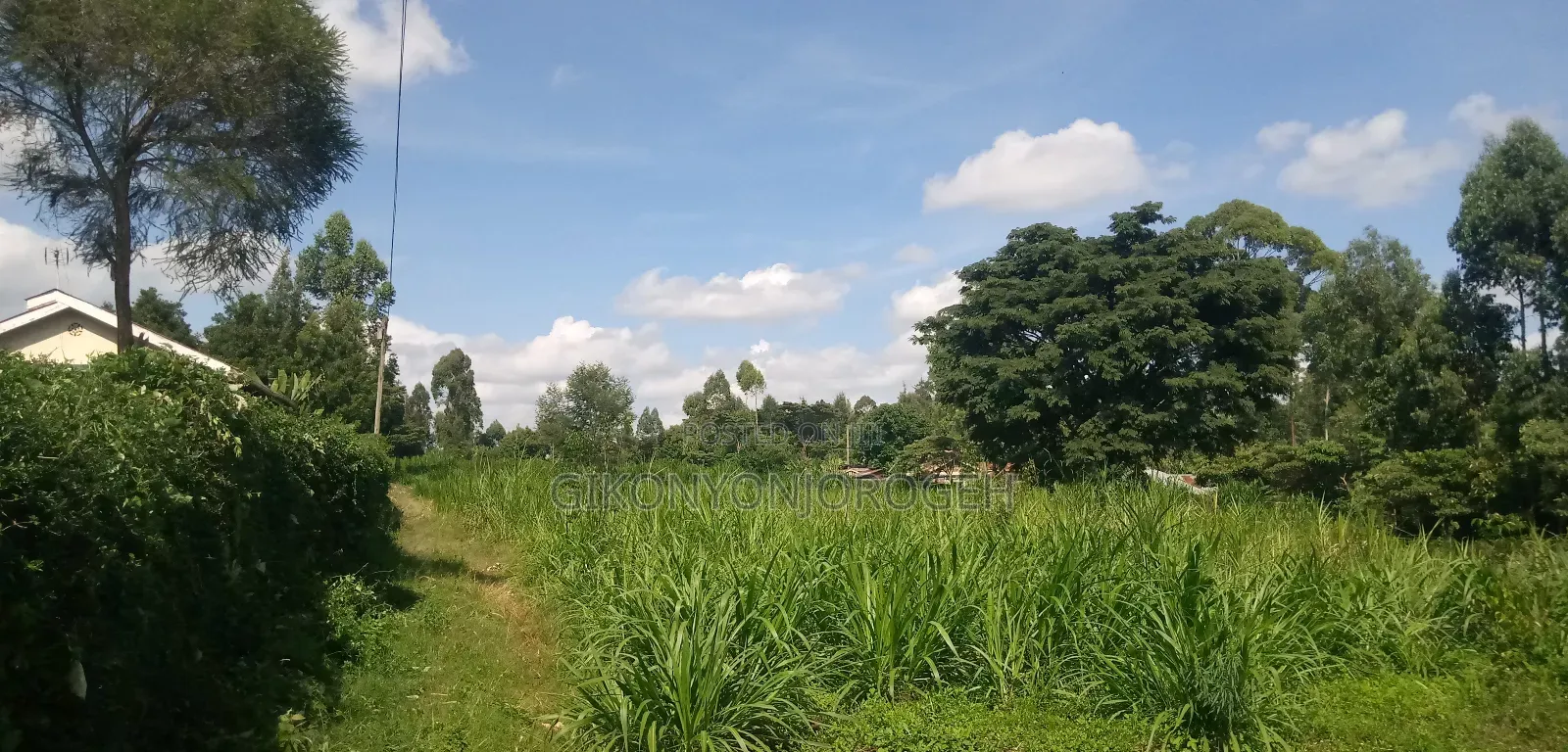 Lifetime Offer Land in Waguthu Kanunga Area (Owner Direct Sale)