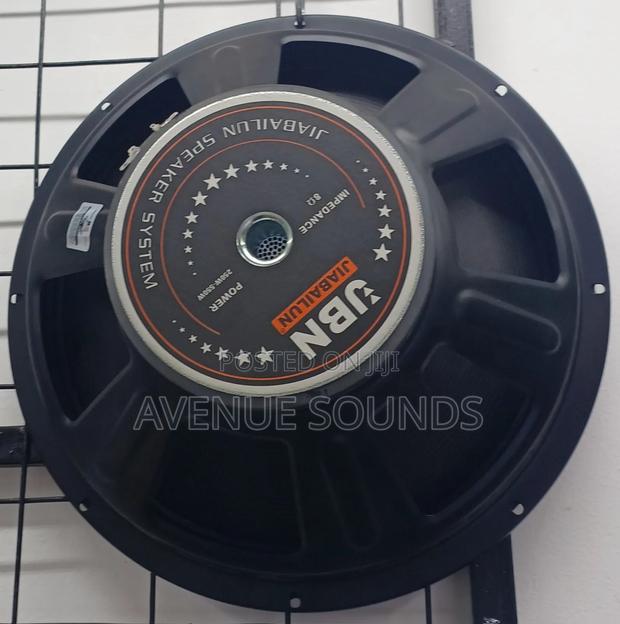 JBN 550W Midrange Naked Speaker