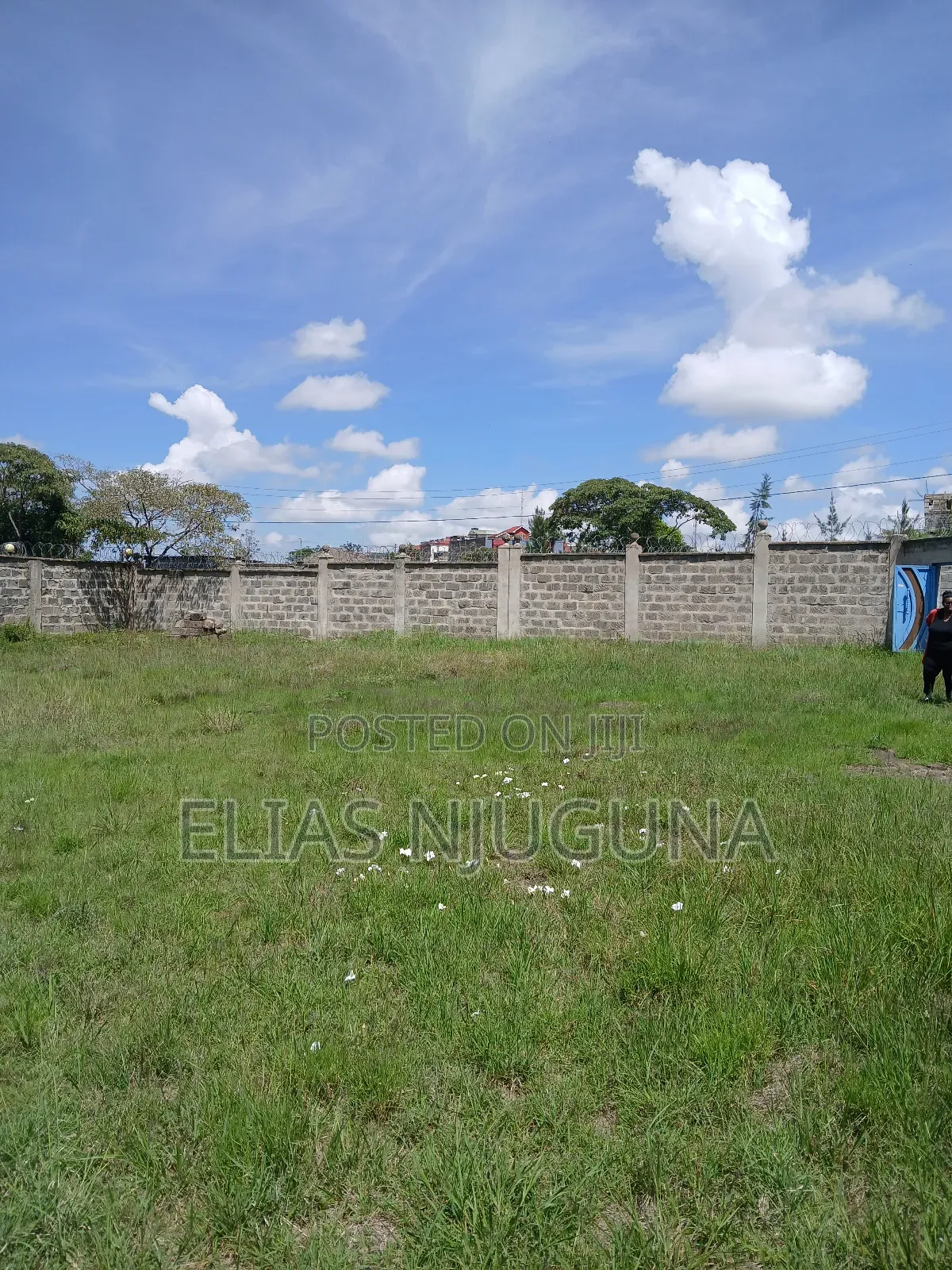 Milimani-Utawala Estate 1/4acre With Title for 