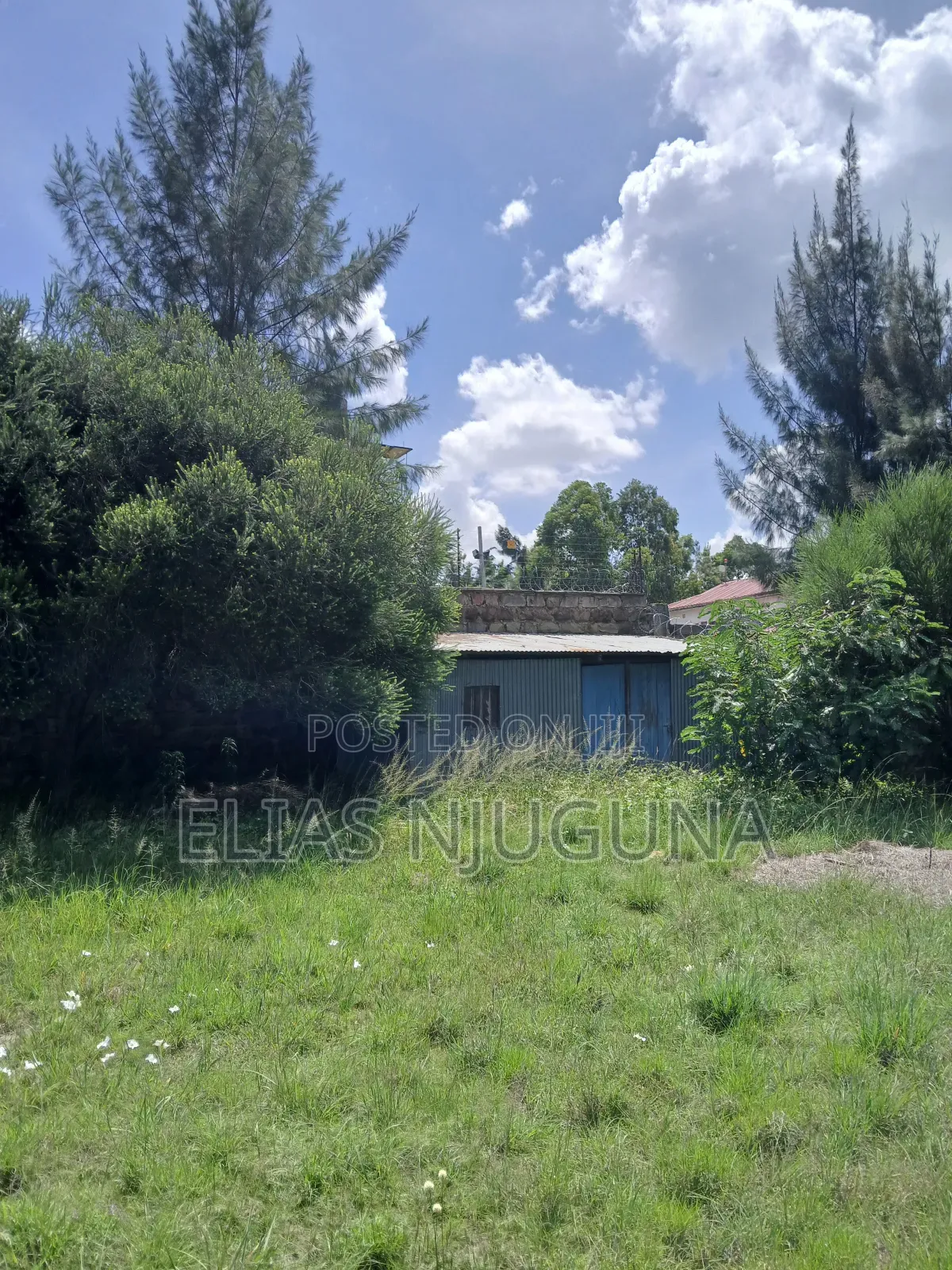 Milimani-Utawala Estate 1/4acre With Title for 