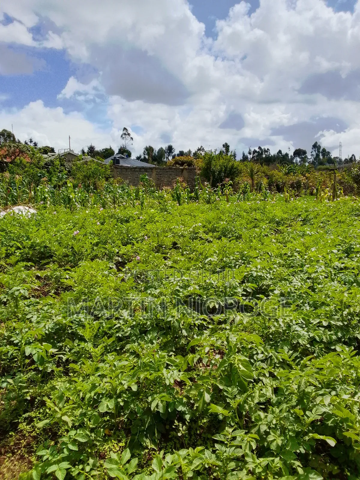1 Acre Mwendandu