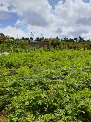 1 Acre Mwendandu